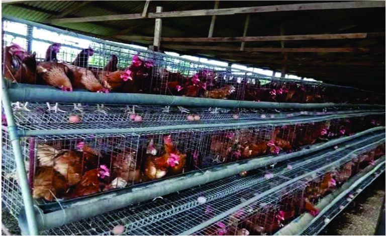 fransoventures slide3